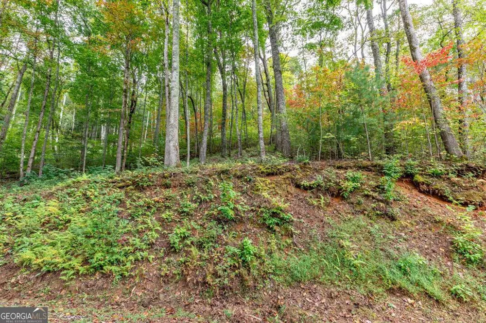 LOT 20 Buckhead HLS Hiawassee, GA 30546