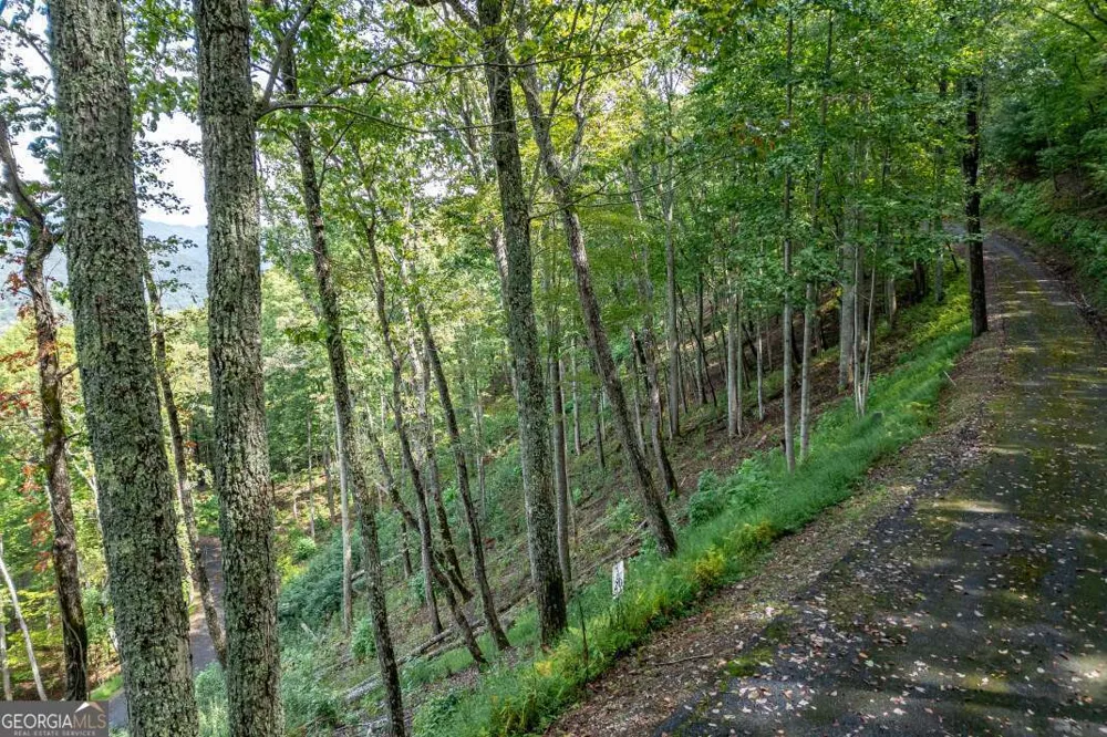 LOT 20 Buckhead HLS Hiawassee, GA 30546
