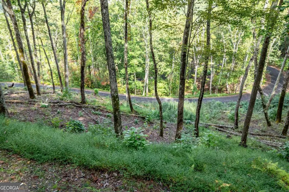 LOT 20 Buckhead HLS Hiawassee, GA 30546