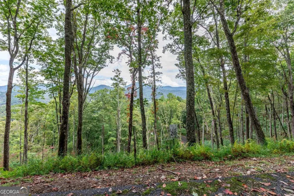 LOT 20 Buckhead HLS Hiawassee, GA 30546