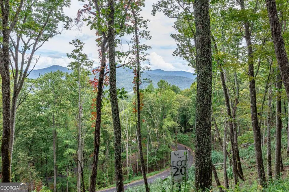 LOT 20 Buckhead HLS Hiawassee, GA 30546