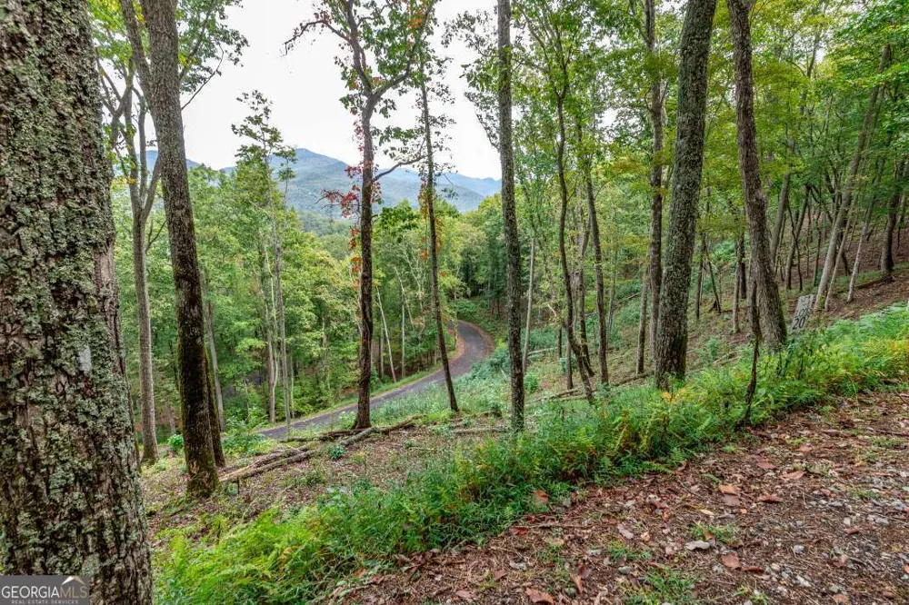 LOT 20 Buckhead HLS Hiawassee, GA 30546