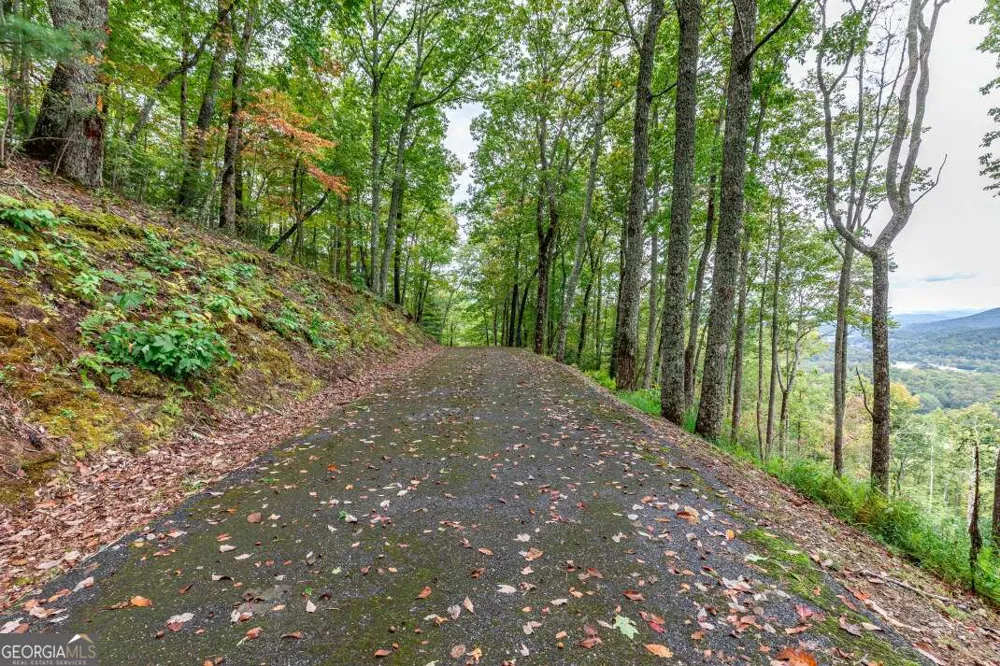 LOT 20 Buckhead HLS Hiawassee, GA 30546