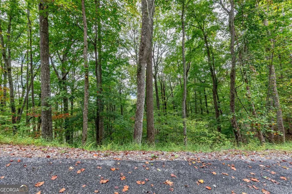 LOT 20 Buckhead HLS Hiawassee, GA 30546