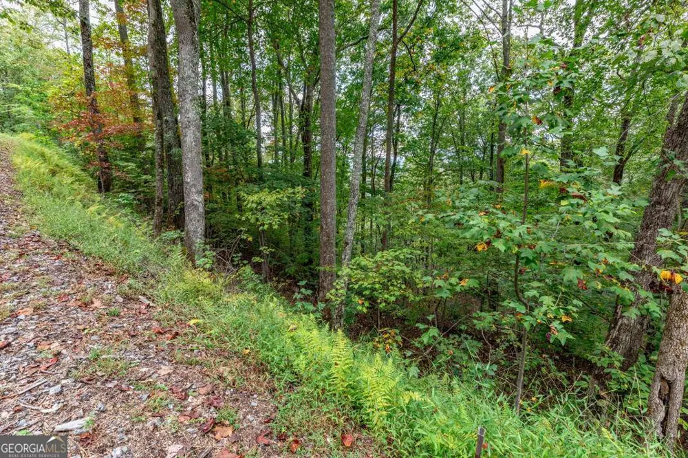 LOT 20 Buckhead HLS Hiawassee, GA 30546