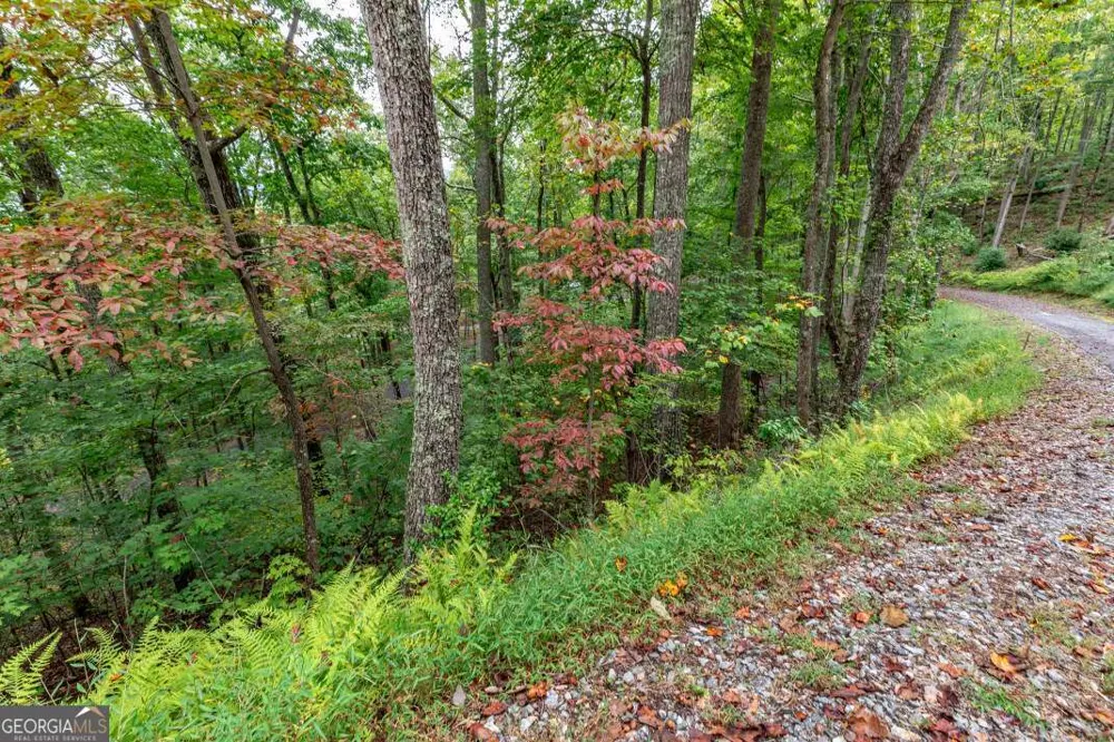 LOT 20 Buckhead HLS Hiawassee, GA 30546