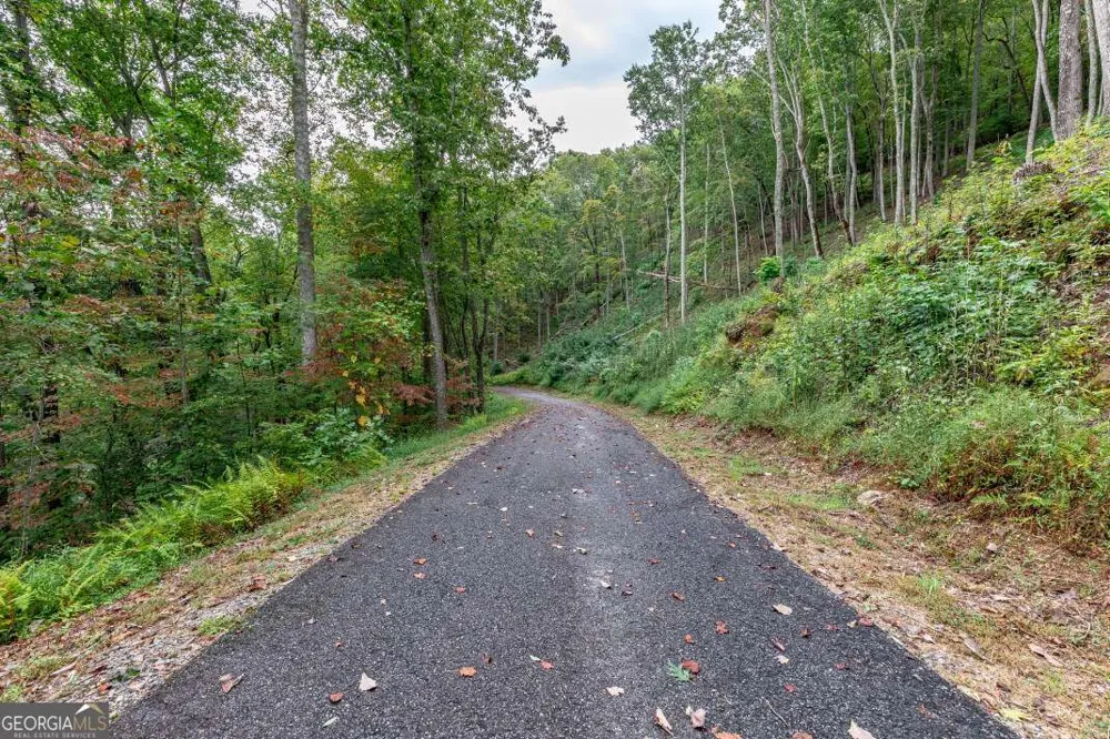 LOT 20 Buckhead HLS Hiawassee, GA 30546