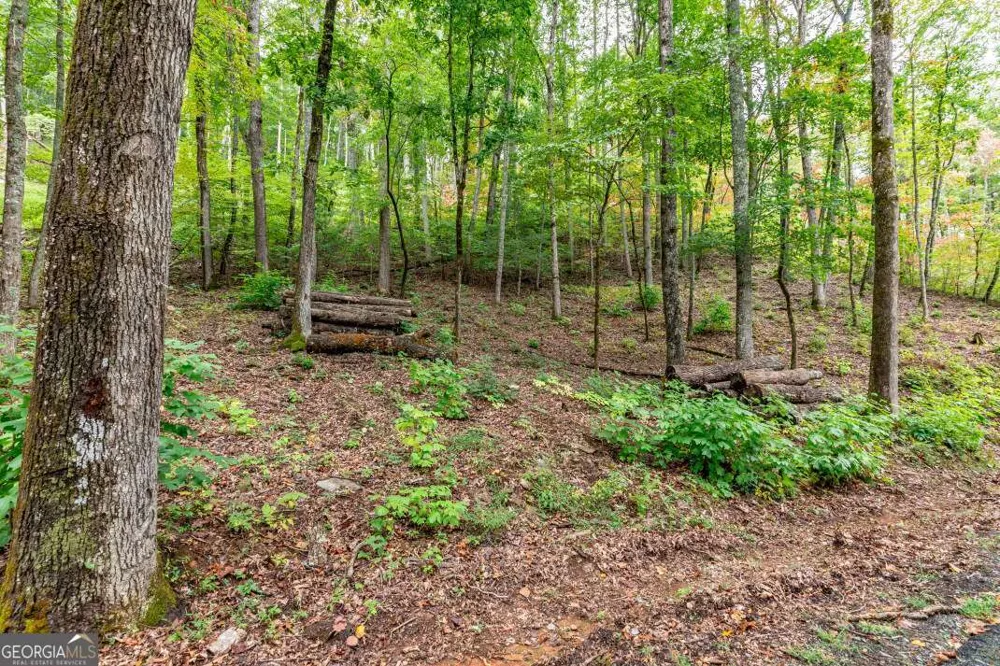 LOT 20 Buckhead HLS Hiawassee, GA 30546