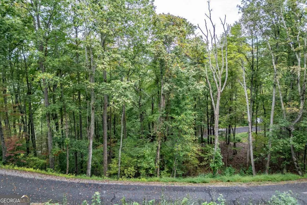 LOT 20 Buckhead HLS Hiawassee, GA 30546