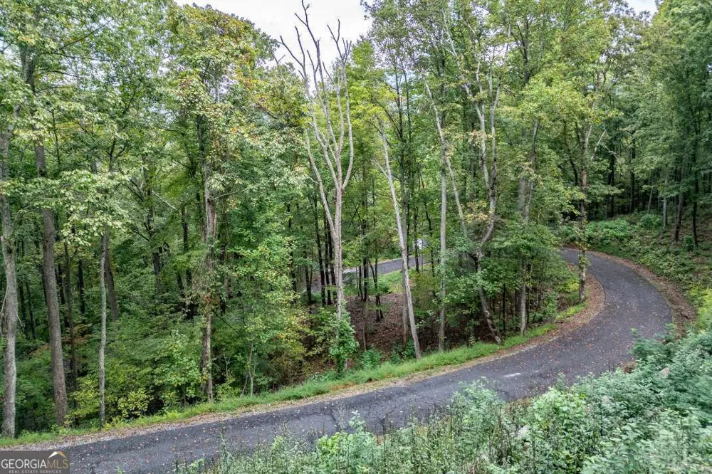 LOT 20 Buckhead HLS Hiawassee, GA 30546
