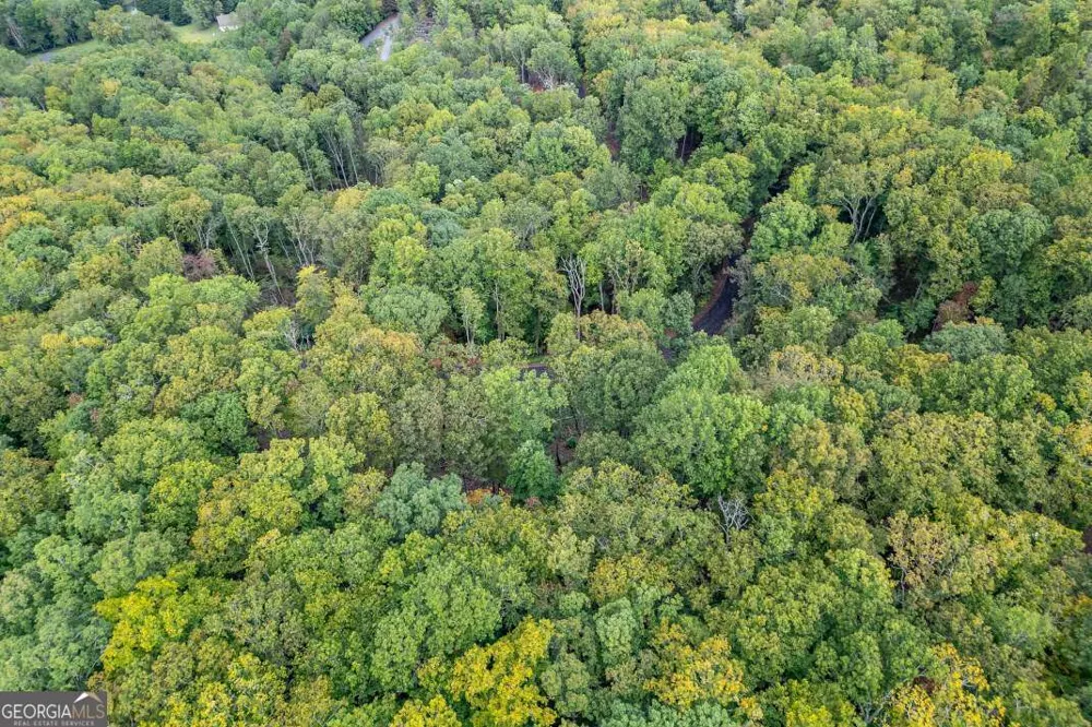 LOT 20 Buckhead HLS Hiawassee, GA 30546