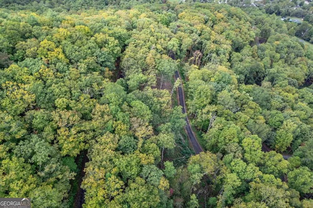 LOT 20 Buckhead HLS Hiawassee, GA 30546