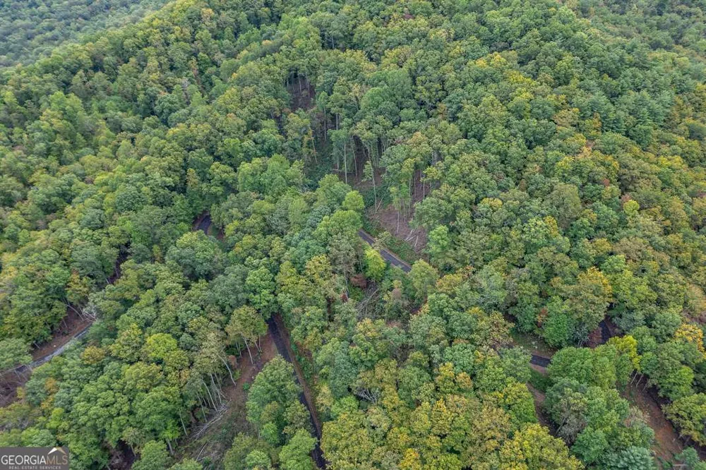 LOT 20 Buckhead HLS Hiawassee, GA 30546