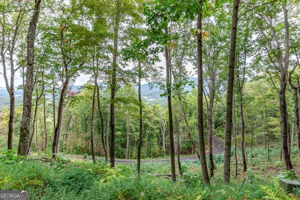 LOT 20 Buckhead HLS Hiawassee, GA 30546