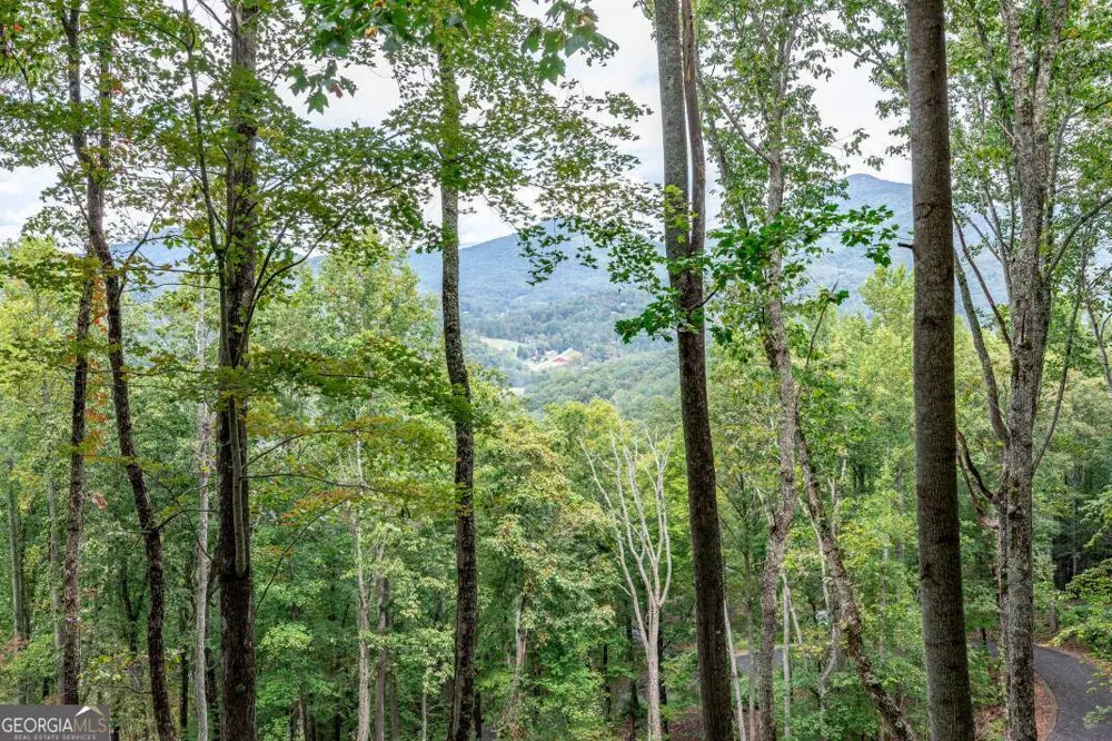 LOT 20 Buckhead HLS Hiawassee, GA 30546