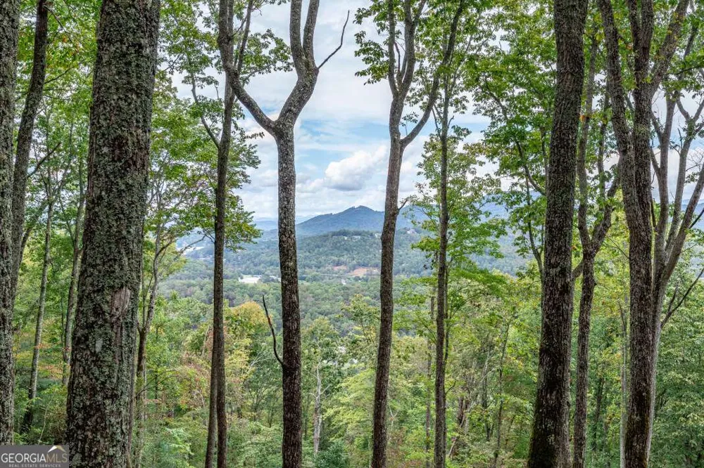 LOT 20 Buckhead HLS Hiawassee, GA 30546