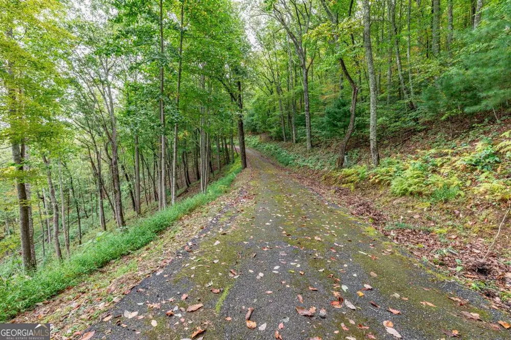 LOT 20 Buckhead HLS Hiawassee, GA 30546