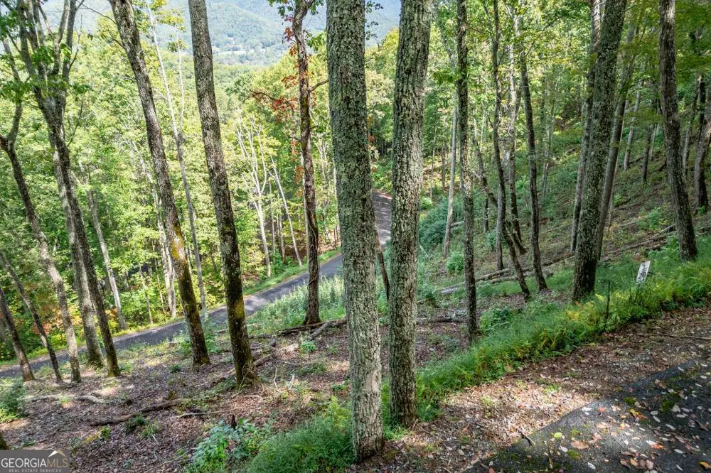 LOT 20 Buckhead HLS Hiawassee, GA 30546