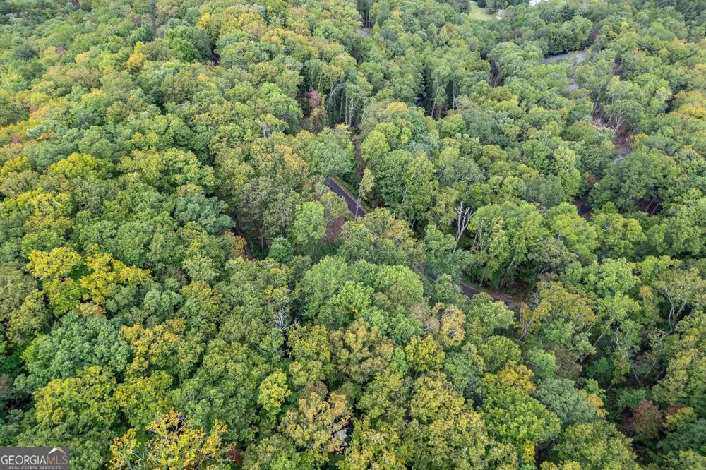 LOT 20 Buckhead HLS Hiawassee, GA 30546