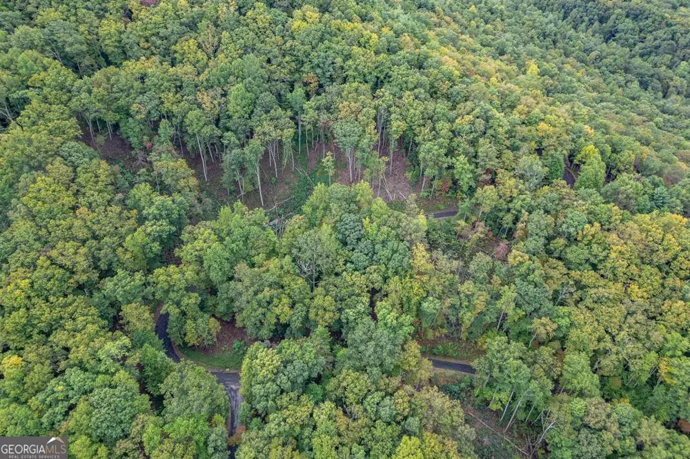 LOT 20 Buckhead HLS Hiawassee, GA 30546
