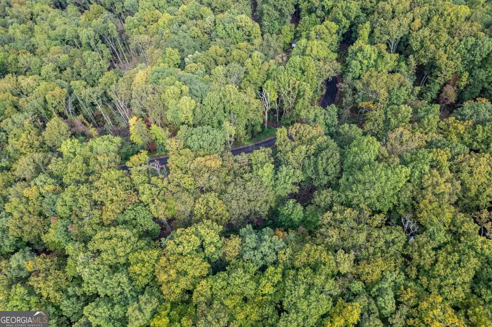 LOT 20 Buckhead HLS Hiawassee, GA 30546