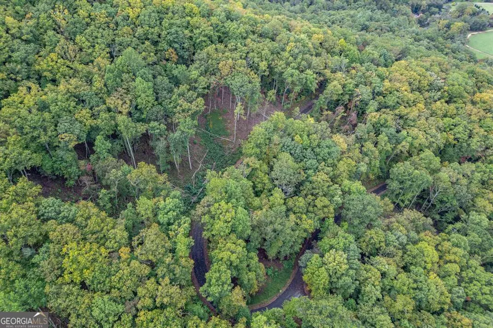 LOT 20 Buckhead HLS Hiawassee, GA 30546