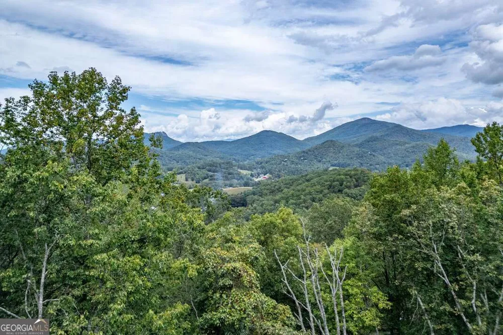LOT 20 Buckhead HLS Hiawassee, GA 30546