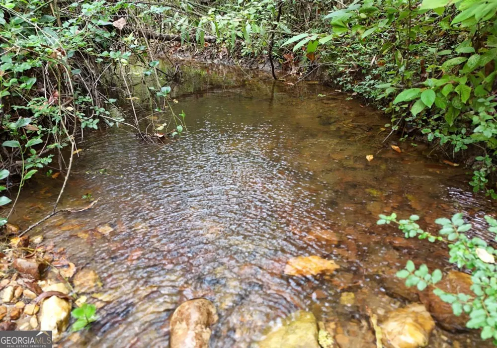 163 Moccasin LN Blairsville, GA 30512