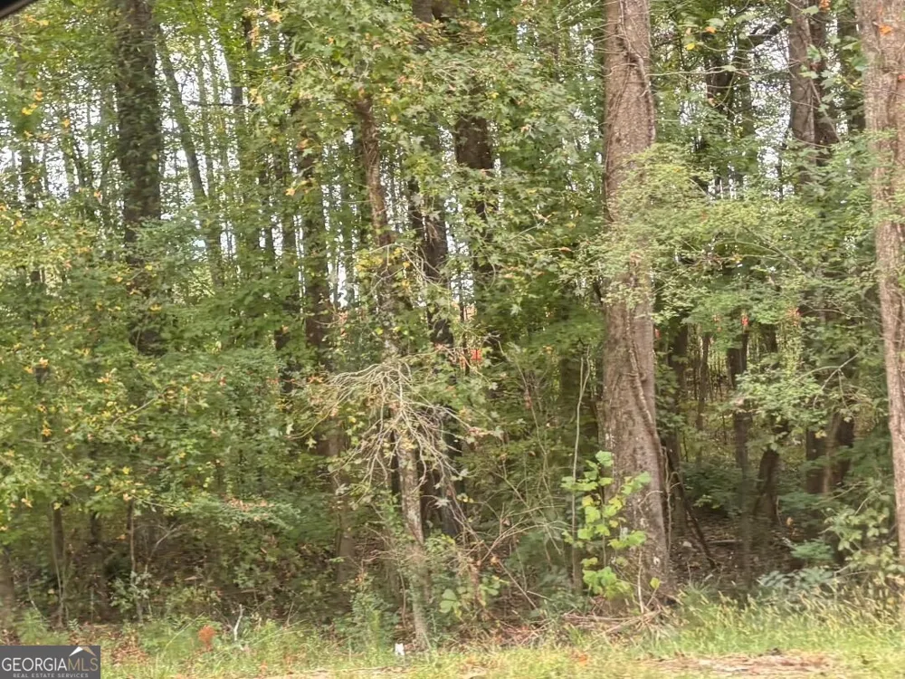 1945 Winder HWY Dacula, GA 30019