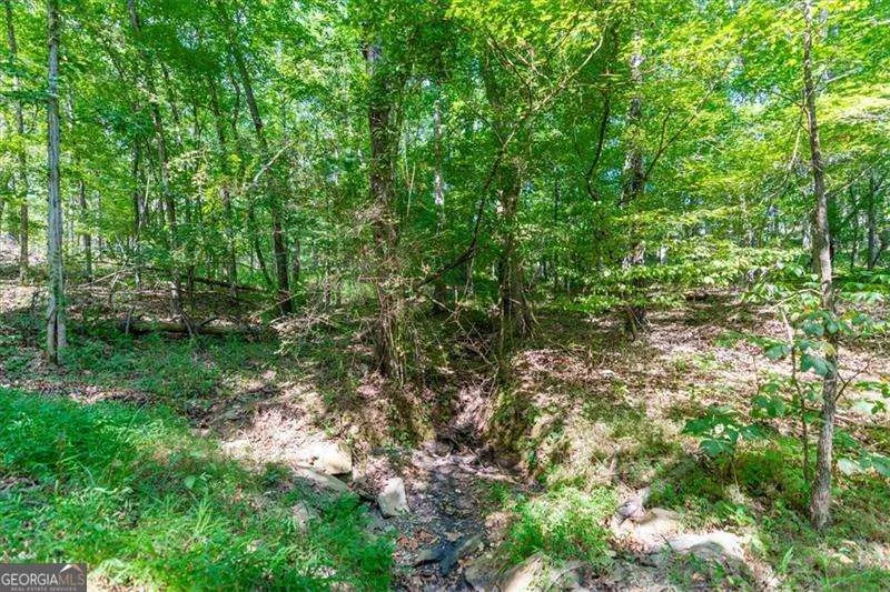 0 Overlook TRL Acworth, GA 30101