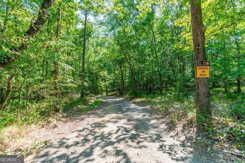 0 Overlook TRL Acworth, GA 30101