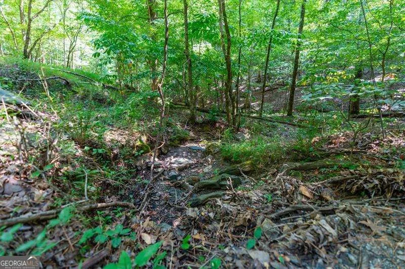 0 Overlook TRL Acworth, GA 30101