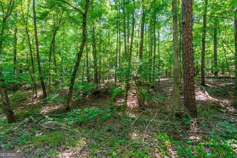 0 Overlook TRL Acworth, GA 30101