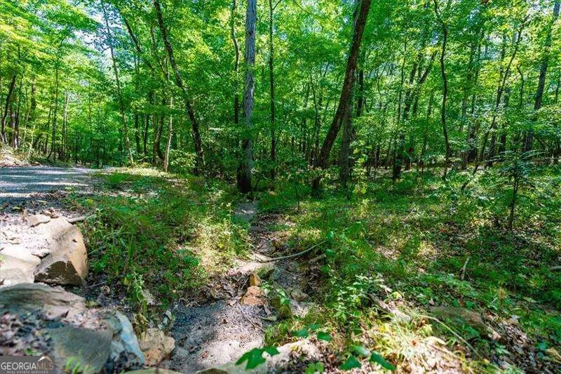 0 Overlook TRL Acworth, GA 30101