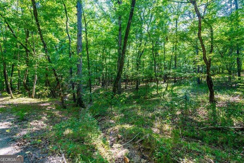 0 Overlook TRL Acworth, GA 30101