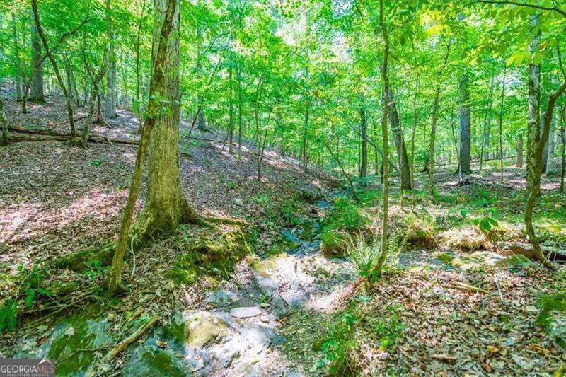 0 Overlook TRL Acworth, GA 30101