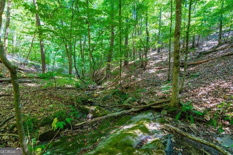 0 Overlook TRL Acworth, GA 30101