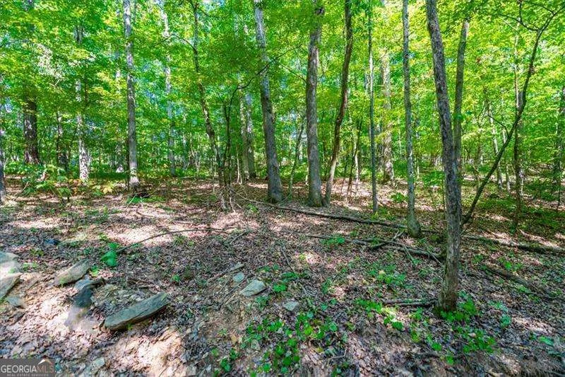 0 Overlook TRL Acworth, GA 30101