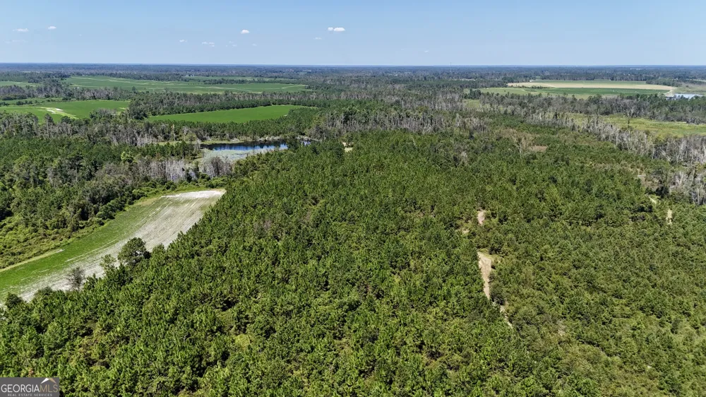 TRACT 2 Rhonda Coleman RD Hazlehurst, GA 31539