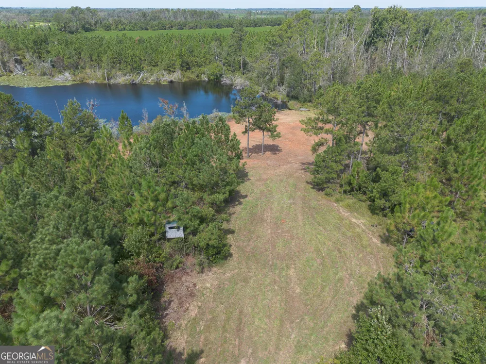 TRACT 2 Rhonda Coleman RD Hazlehurst, GA 31539