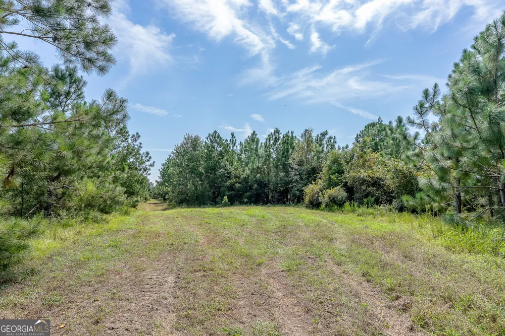 TRACT 2 Rhonda Coleman RD Hazlehurst, GA 31539