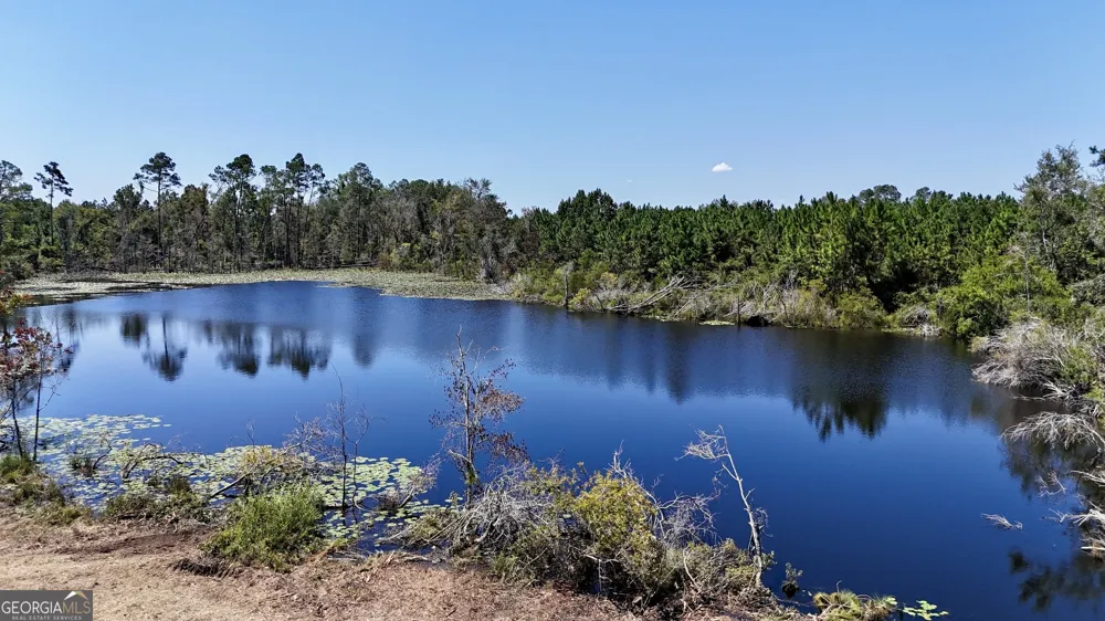 TRACT 2 Rhonda Coleman RD Hazlehurst, GA 31539