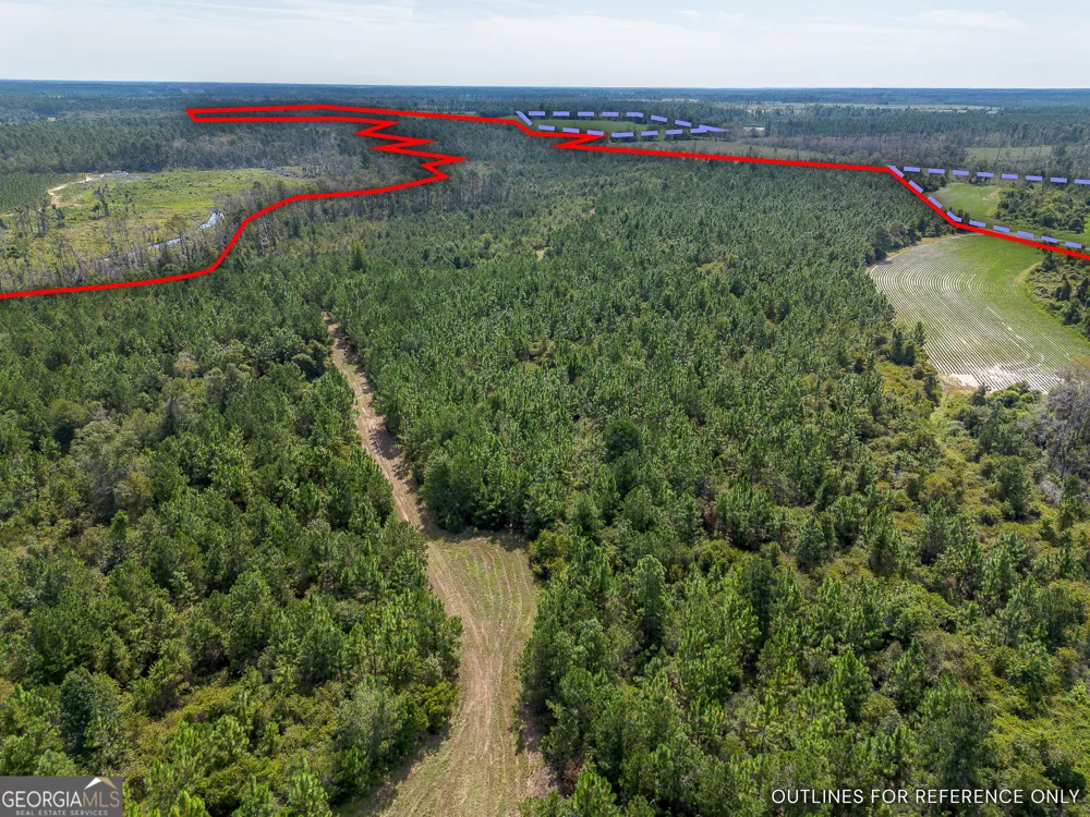 TRACT 2 Rhonda Coleman RD Hazlehurst, GA 31539