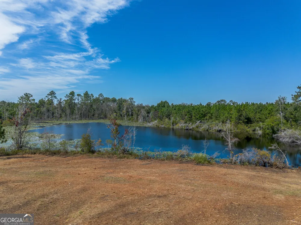 TRACT 2 Rhonda Coleman RD Hazlehurst, GA 31539
