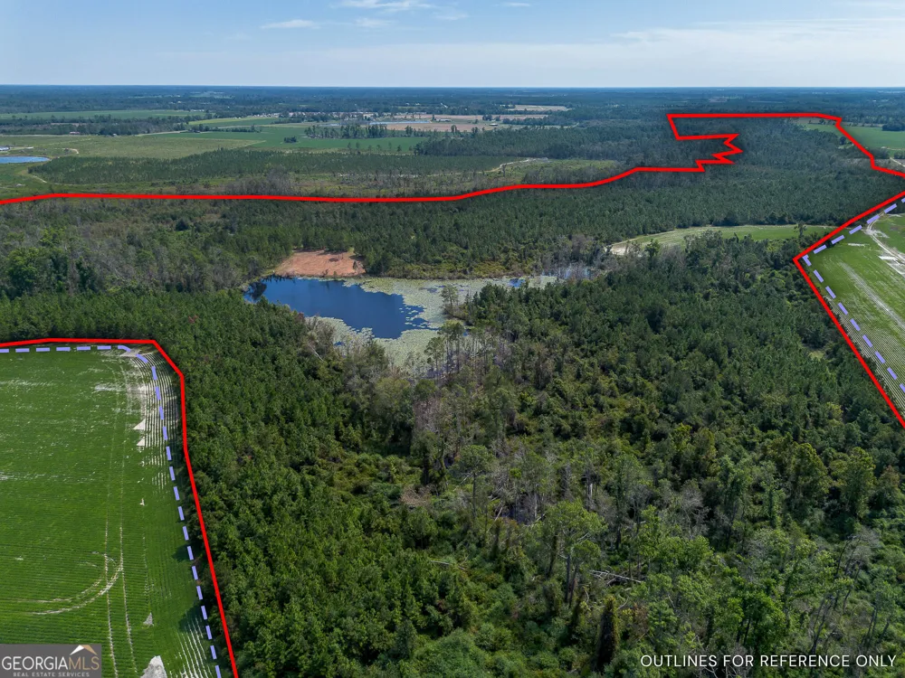 TRACT 2 Rhonda Coleman RD Hazlehurst, GA 31539