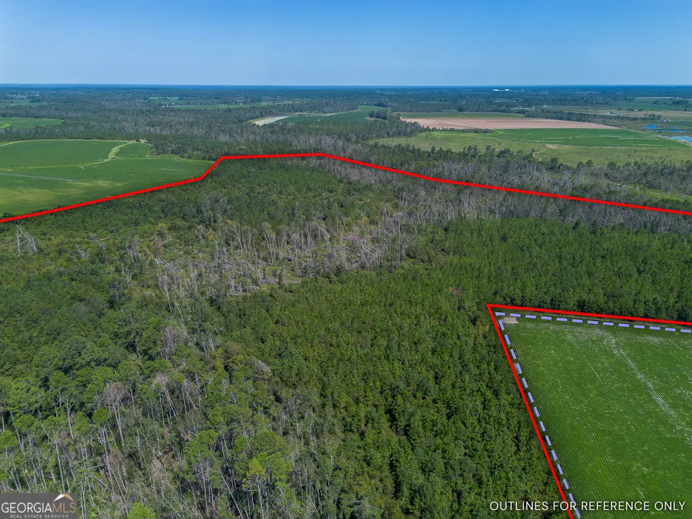 TRACT 2 Rhonda Coleman RD Hazlehurst, GA 31539