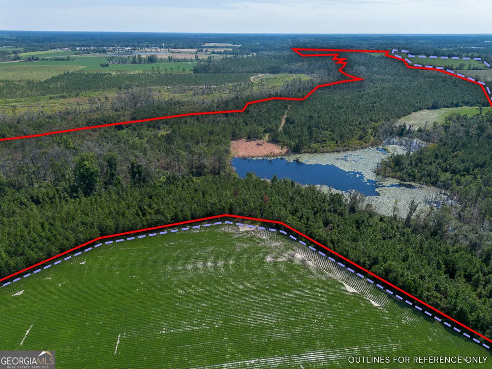 TRACT 2 Rhonda Coleman RD Hazlehurst, GA 31539