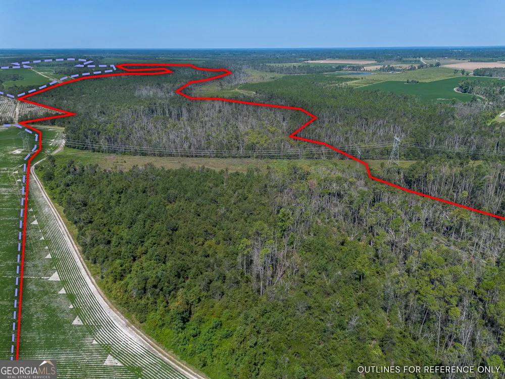 TRACT 2 Rhonda Coleman RD Hazlehurst, GA 31539