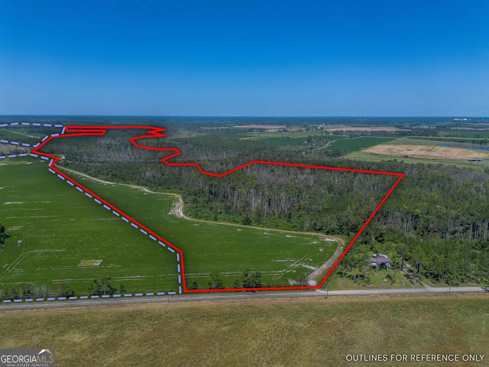 TRACT 2 Rhonda Coleman RD Hazlehurst, GA 31539