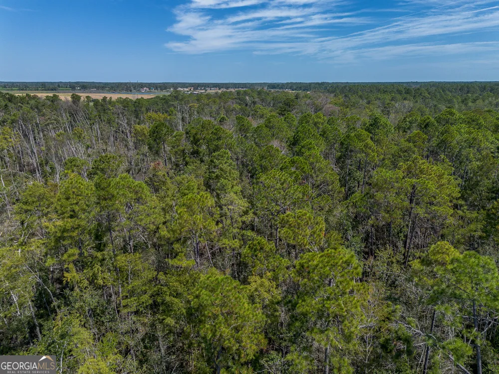 TRACT 2 Rhonda Coleman RD Hazlehurst, GA 31539